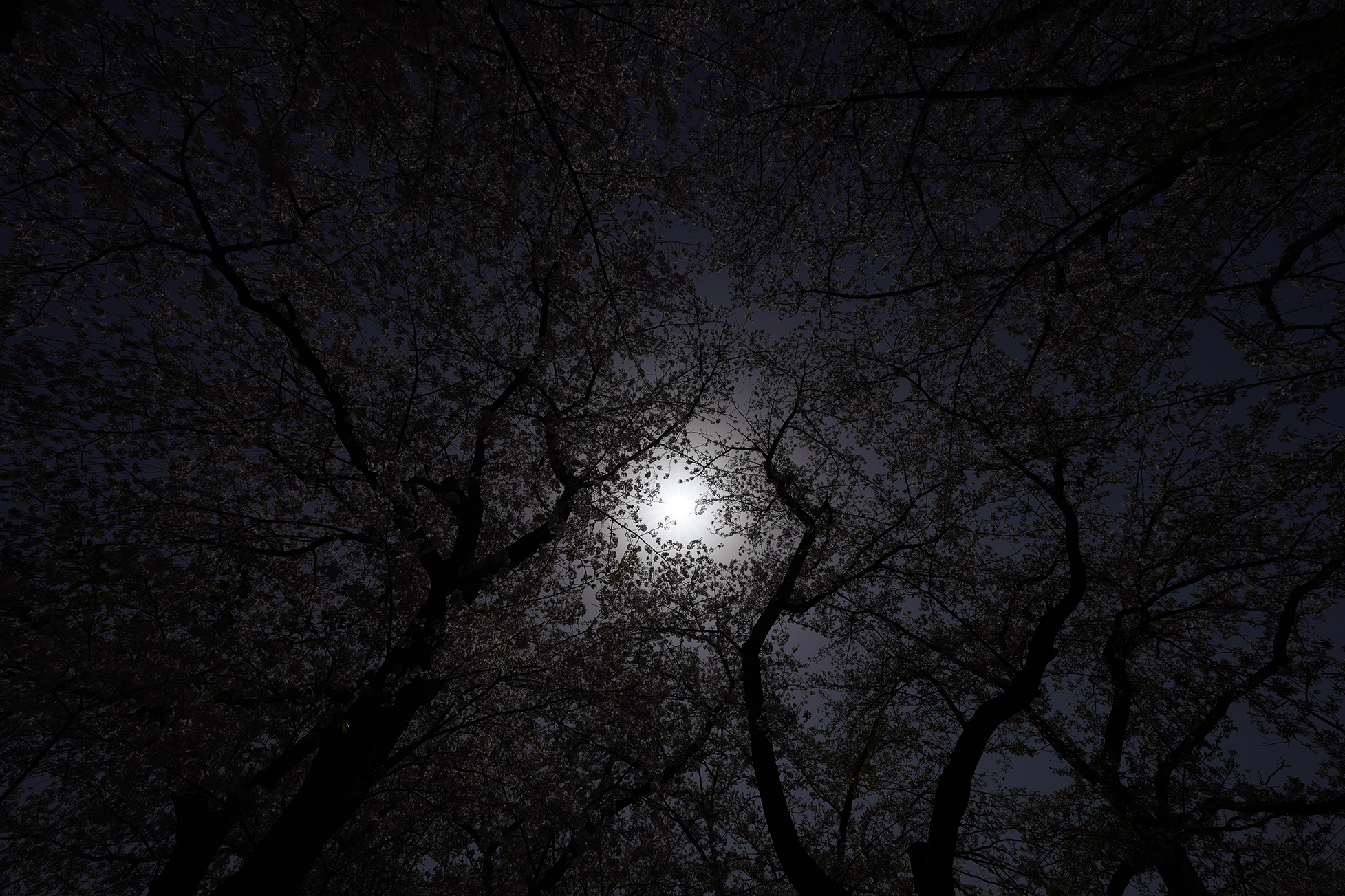 Photographer Hiroyuki Monguchi Official Site｜写真家門口浩之の公式